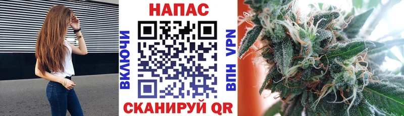 Виды наркоты Барнаул А ПВП Бошки Шишки Амфетамин ГАШ Псилоцибиновые грибы Меф