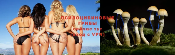 ALPHA-PVP Каменногорск