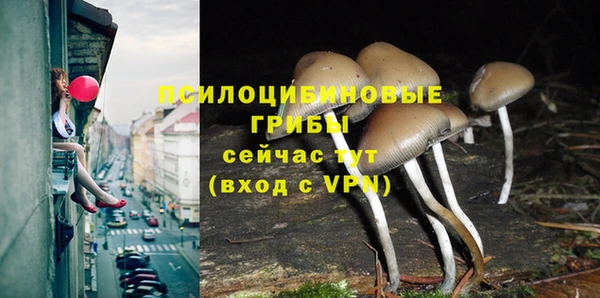 ALPHA-PVP Каменногорск
