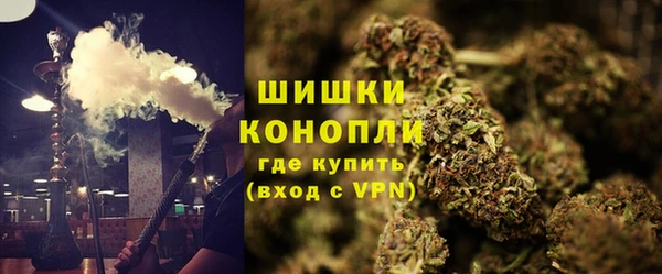 первитин Каменка