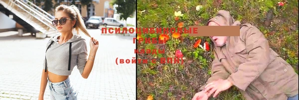 первитин Каменка